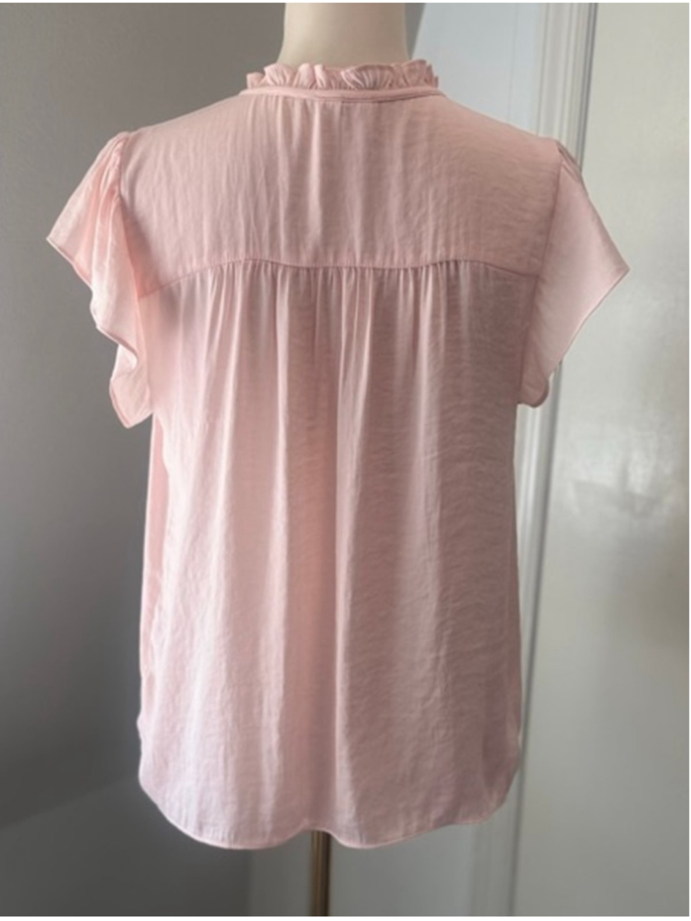 Joie | Pink Embroidered Short Sleeve lightweight Blouse | Size Medium - Picture 2 of 9
